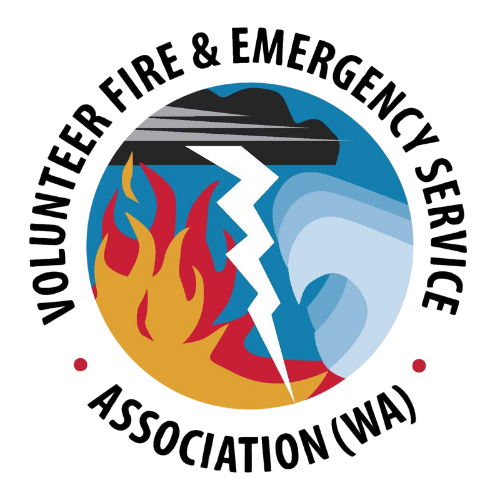 VFESA logo